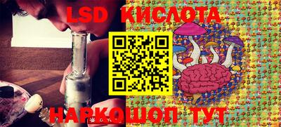 PSILOCYBIN Можайск