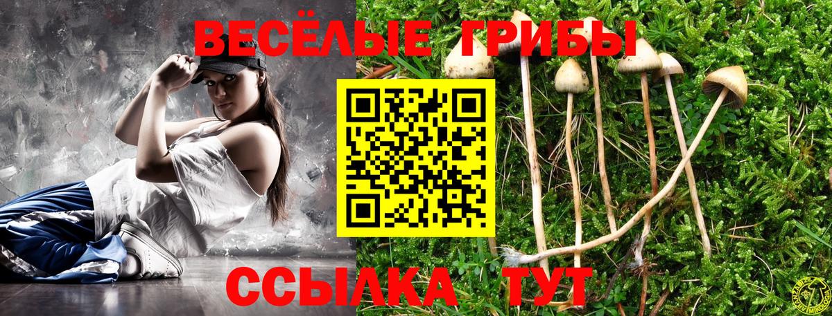 Фролово  Галлюциногенные грибы Psilocybe  Вход с VPN 